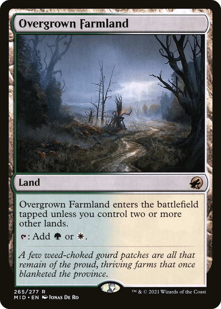 Overgrown Farmland MID