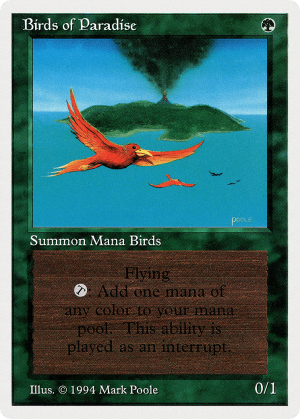 Birds of Paradise SUM